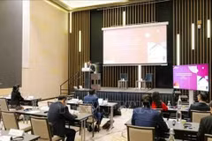 培训班现场。图自越通社