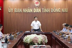 同奈省人民委员会副主席胡文河发言。图自越通社