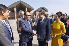 马来西亚议院议长拿督阿旺·贝姆·阿旺·阿里·巴萨到机场欢送陈青敏夫妇一行。图自越通社