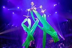 《莲花秋千》节目表演。图自越通社