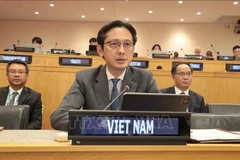 越南常驻联合国代表团团长杜雄越大使发言。图自越通社