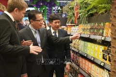 越南驻俄大使邓明魁参观"越南角"。图自越通社
