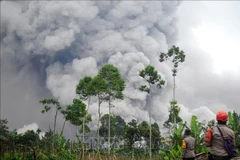 印尼塞梅鲁火山喷发。图自越通社