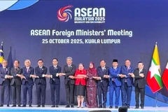 出席东盟外交部长会议的与会代表合影。图自越通社
