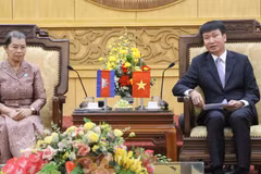 宁平省委书记陈辉俊（右）与柬埔寨祖国发展团结阵线国家委员会主席梅森安。图自越通社
