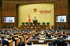 全体会议场景。图自越通社