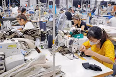 2026年第二季度GDP达8.39%，高于2025年同期的8.14%。图自越通社