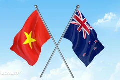 附图 图自Vietnam+