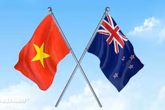 附图 图自Vietnam+