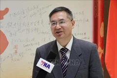 浙江工业大学区域国别研究院执行院长兼越南研究中心主任成汉平。图自越通社