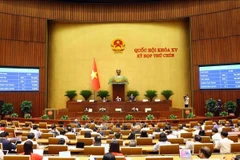 国会已投票通过国会关于修改、补充2013年宪法若干条款的决议。图自越通社