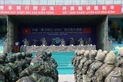  2025年越中陆军联合训练圆满闭幕。图自越通社
