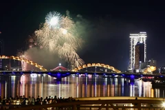 越南岘港国际烟花节（DIFF）2025决赛现场。图自越通社
