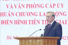 苏林总书记发言。图自越通社