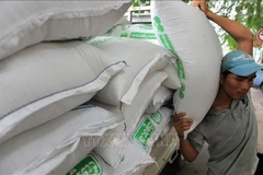 越南工贸部就从柬埔寨进口干烟叶和大米征求有关机关、组织的意见。图自越通社