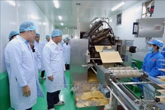 在老越侨企业日益巩固其在经济发展中的重要作用。图自越通社