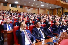 与会代表表决通过大会决议。图自越通社