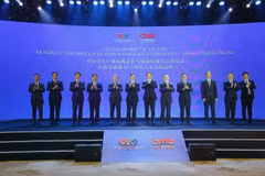 与会代表合影。图自vietnamplus