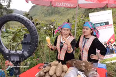 莱州省各民族同胞已积极运用直播形式，推销农产品。图自vietnam+