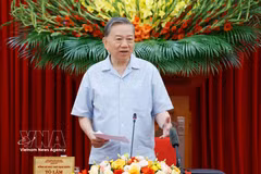 越共中央总书记、国家主席苏林在会议上发言。图自越通社