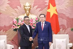 陈青敏会见印尼驻越大使丹尼•阿卜迪。图自越通社