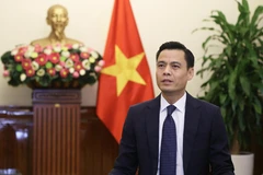 越南外交部副部长邓黄江。图自越通社