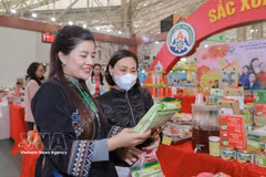 谅山省展位。图自越通社