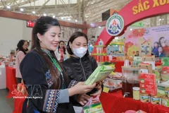 谅山省展位。图自越通社