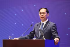 越南政府副总理裴青山在会议上发表讲话时。图自越通社