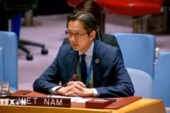 越南常驻联合国代表团团长杜雄越。图自越通社
