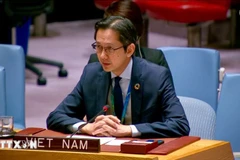 越南常驻联合国代表团团长杜雄越。图自越通社