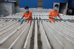 附图 图自越通社