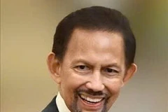 文莱达鲁萨兰国苏丹哈吉·哈桑纳尔·博尔基亚。图自越通社