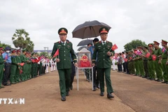 在柬牺牲的越南志愿军和专家烈士遗骸归国迎接仪式。图自越通社