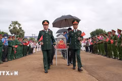 在柬牺牲的越南志愿军和专家烈士遗骸归国迎接仪式。图自越通社