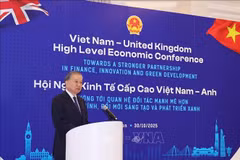越共中央总书记苏林在越英高级经济官员会议上发言。图自越通社