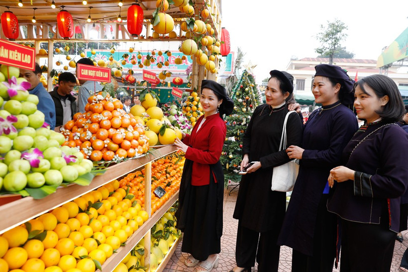 北宁水果节设有逾200个展位，推介来自各地多种水果。图自thiennhienmoitruong.vn