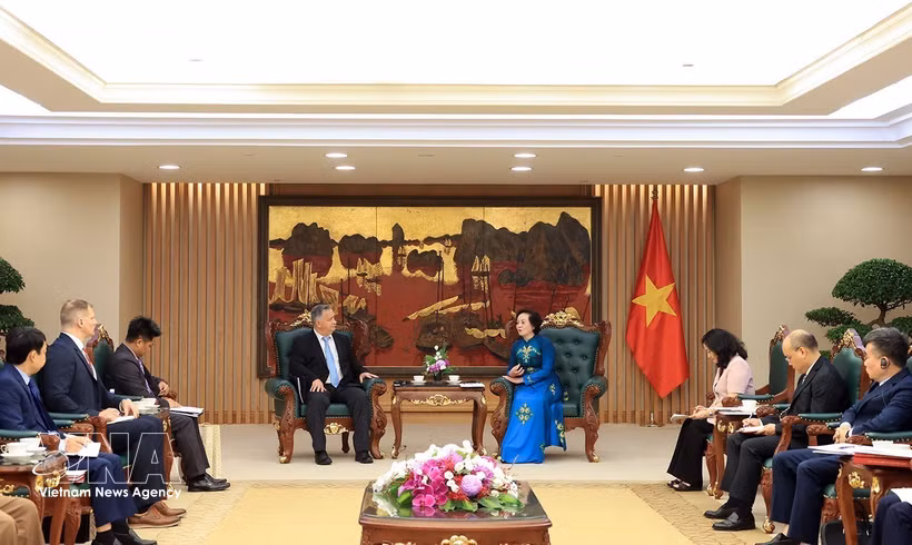 越南政府副总理范氏清茶会见由史蒂芬·马克斯纳博士率领的正在访问越南的山姆·约翰逊中心代表团。图自越通社