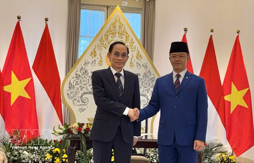印度尼西亚外交部长苏吉约诺与越南外交部长黎怀忠共同主持越印双边合作委员会第六次会议。图自越通社