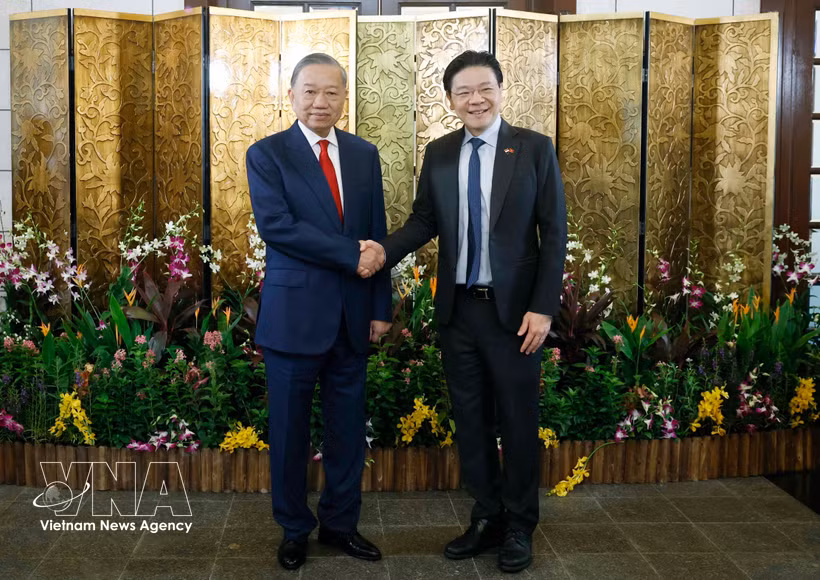 越共中央总书记、国家主席苏林与新加坡总理黄循财举行了会谈。图自越通社