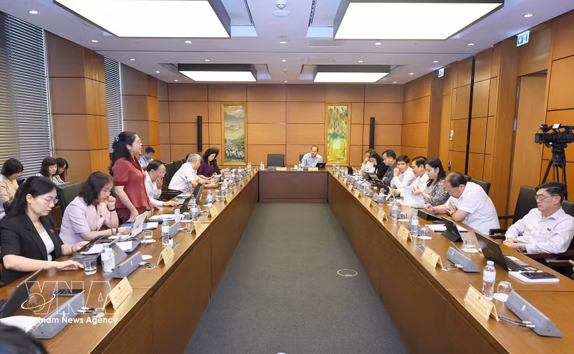 国会代表分组讨论成立广宁市和北宁市相关问题。图自越通社