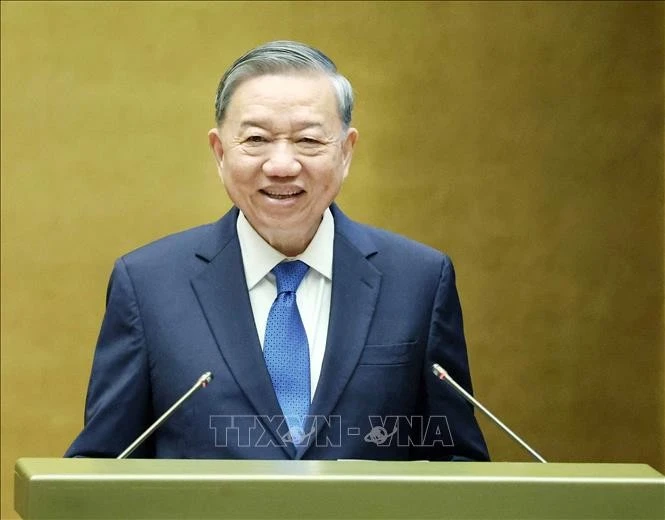 越共中央总书记苏林出席会议并发表指导性讲话。图自越通社