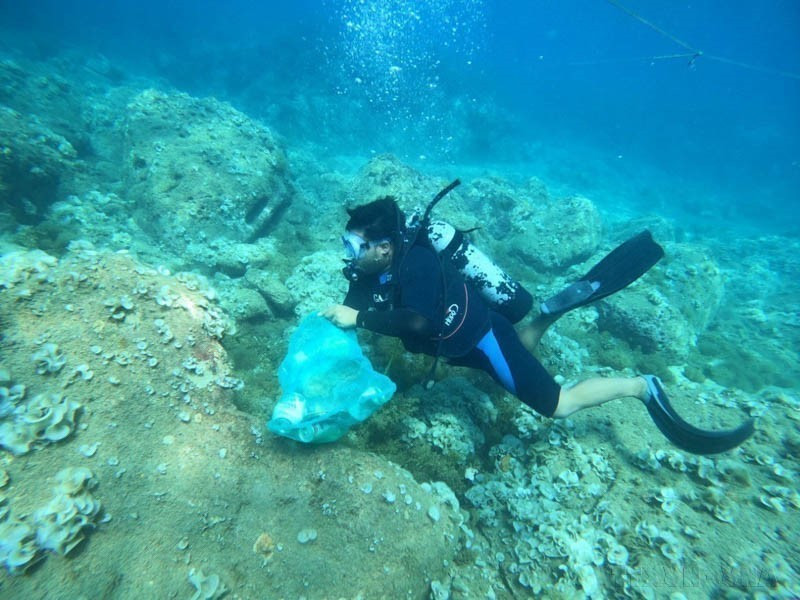 资料图 收拾海底塑料垃圾 图自越通社