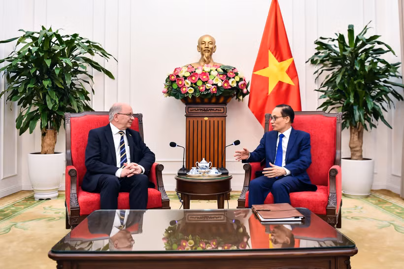 越南外交部部长黎怀忠会见瑞典外交部国务秘书哈特留斯。越南外交部供图