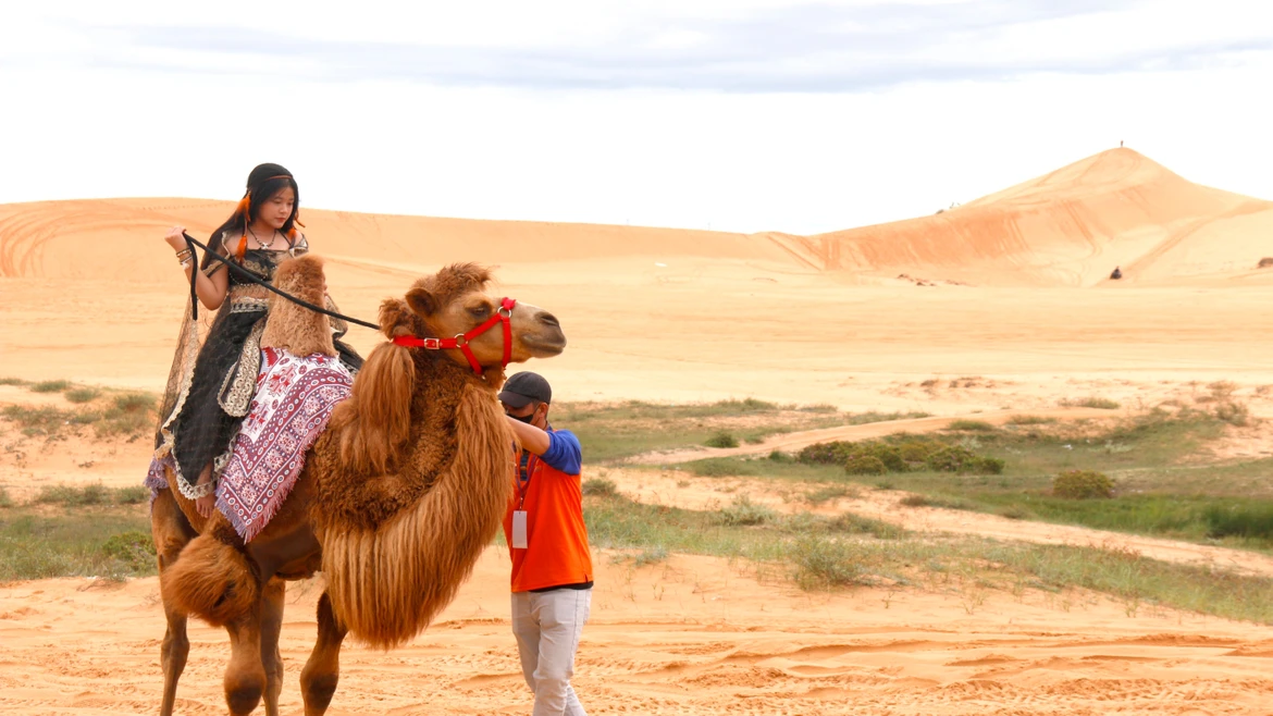 林同省批准实施美奈国家旅游区总体规划