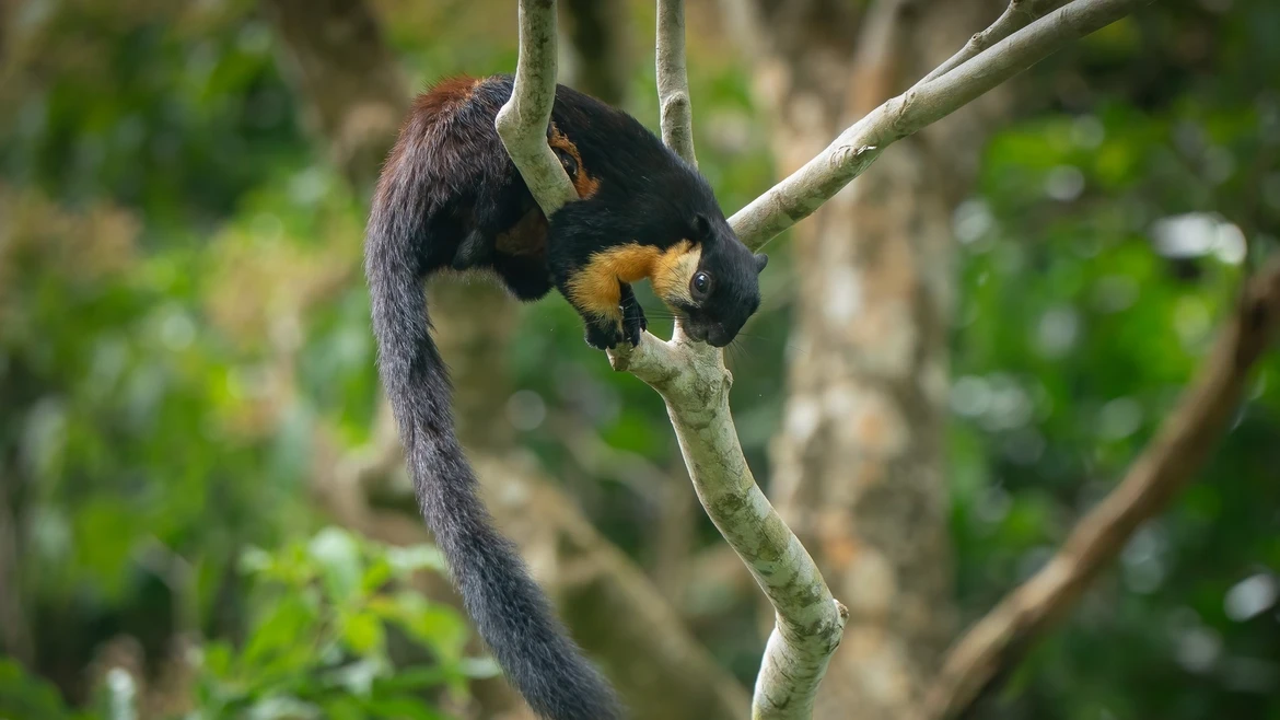 昆岛国家公园获“绿色名录”认证