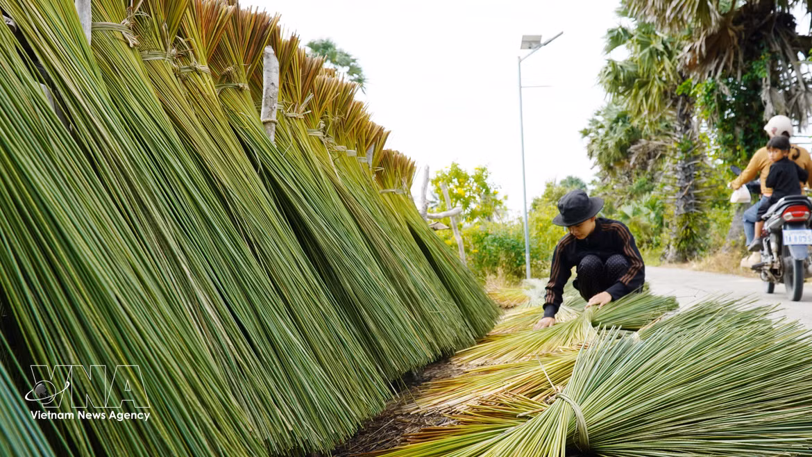 安江边境居民巧用蒲草制作手工艺品