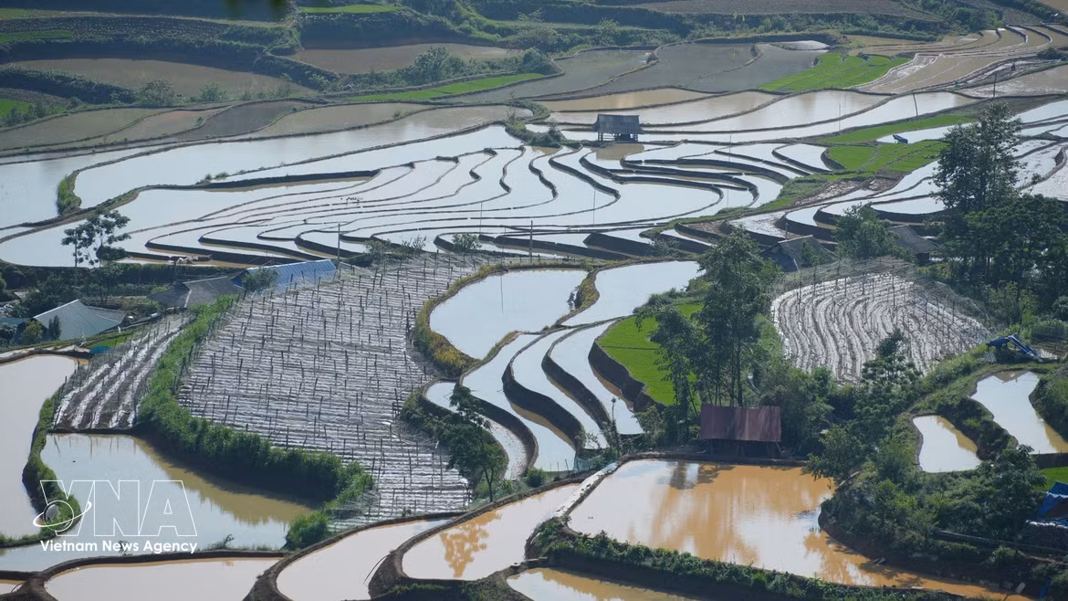 莱州：欣赏灌水季梯田之美