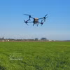 使用无人机（drone）喷洒农药。图自越通社