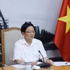 越南政府副总理胡国勇主持会议。图自越通社